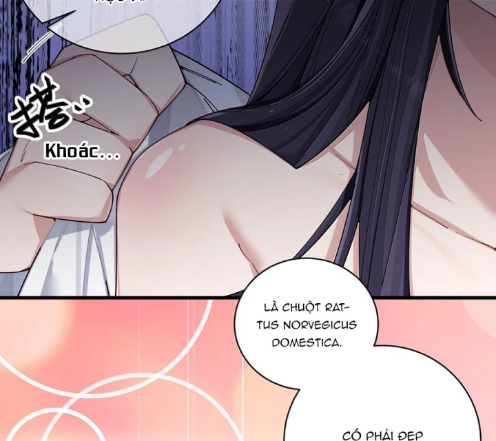 Làm Sao Để Chạy Trốn Dàn Hậu Cung Chapter 150 - 15