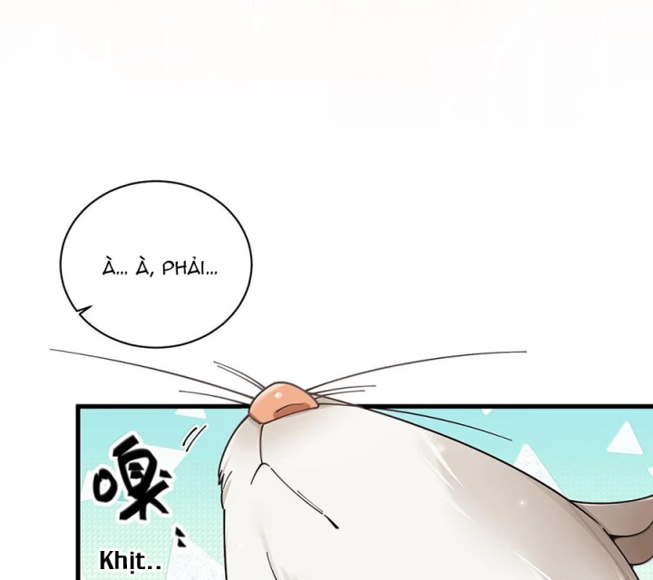 Làm Sao Để Chạy Trốn Dàn Hậu Cung Chapter 150 - 21
