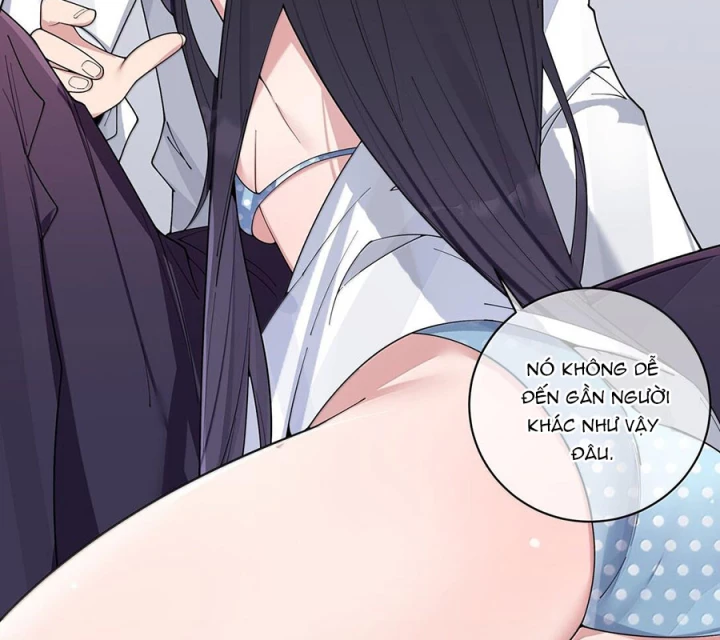 Làm Sao Để Chạy Trốn Dàn Hậu Cung Chapter 150 - 39