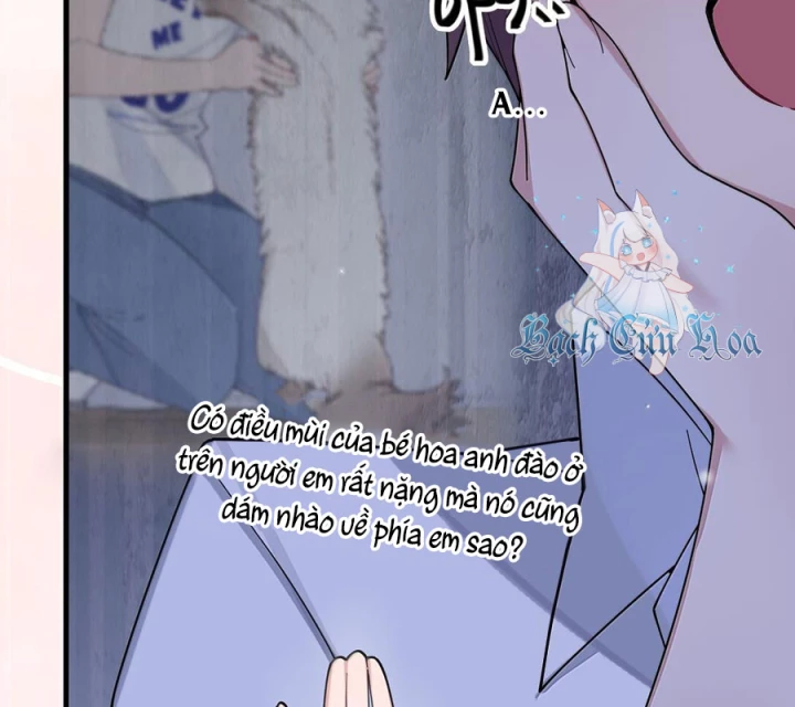 Làm Sao Để Chạy Trốn Dàn Hậu Cung Chapter 150 - 42