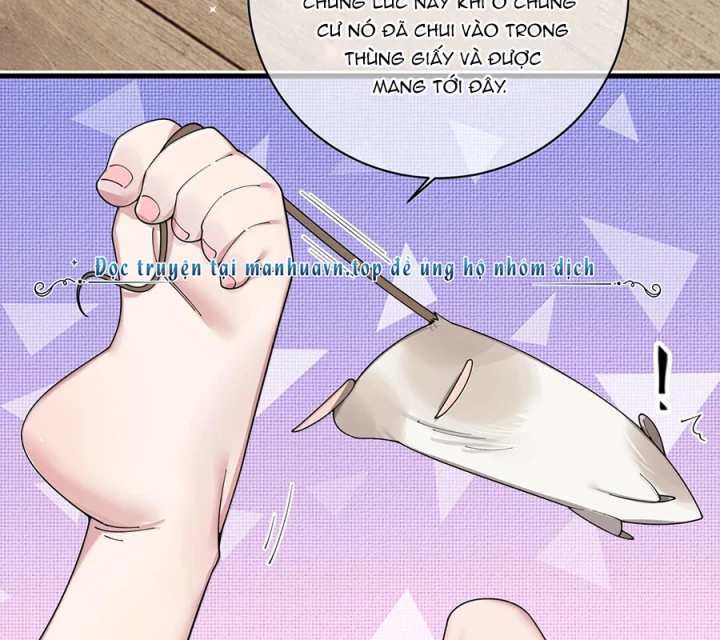 Làm Sao Để Chạy Trốn Dàn Hậu Cung Chapter 150 - 46