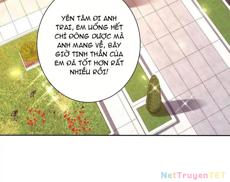 Sau Khi Sống Lại Ở Mạt Thế, Ta Điên Cuồng Thăng Cấp Chapter 27 - 5