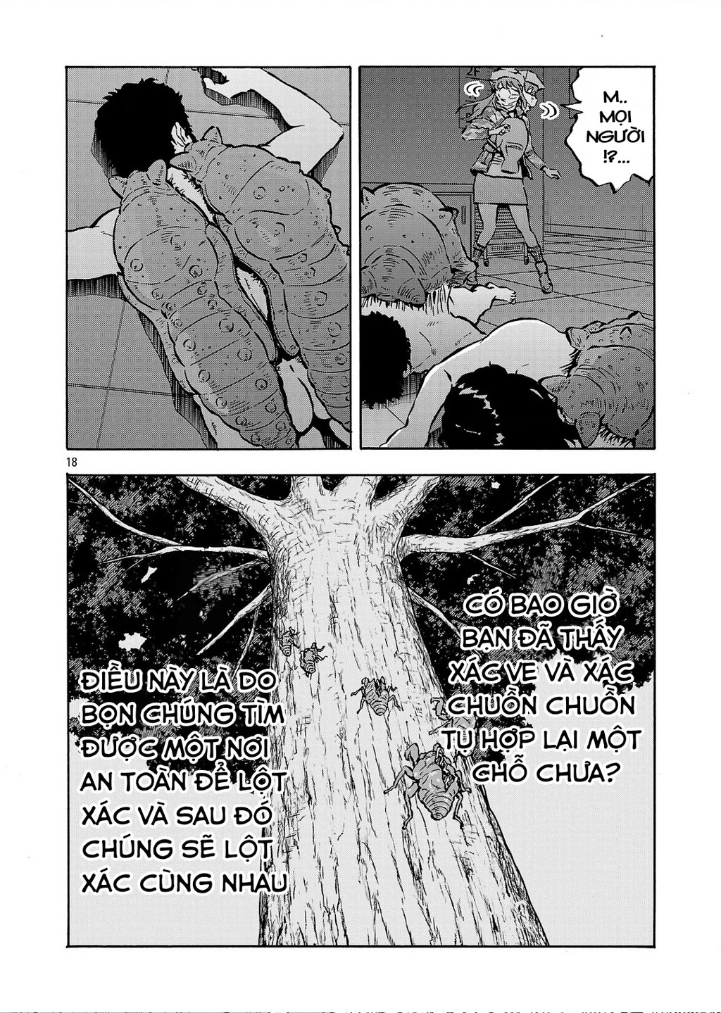 Siêu Đảo Côn Trùng Chapter 57 - 20