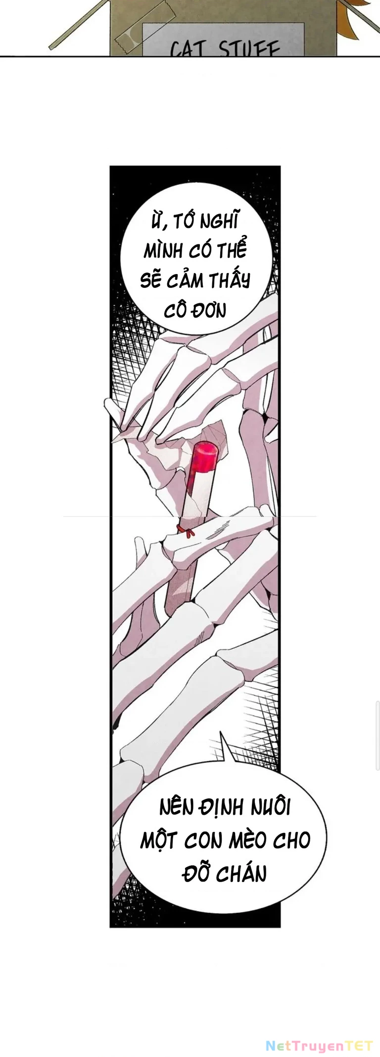 Mèo con của skelly Chapter 1 - 12