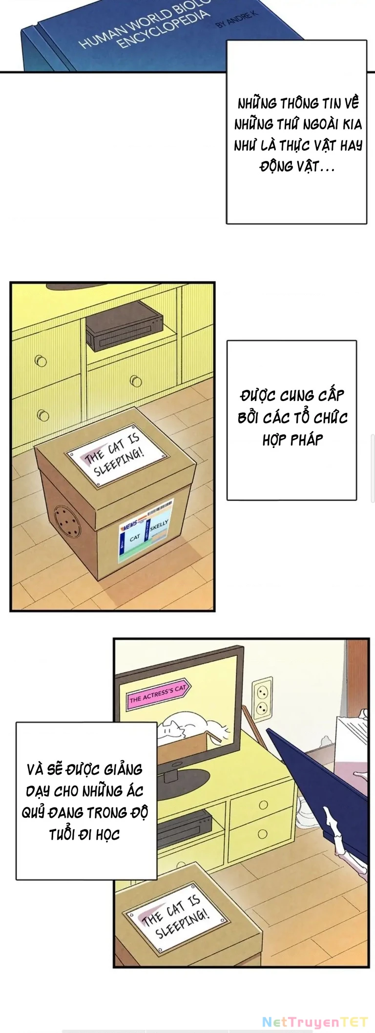 Mèo con của skelly Chapter 1 - 28