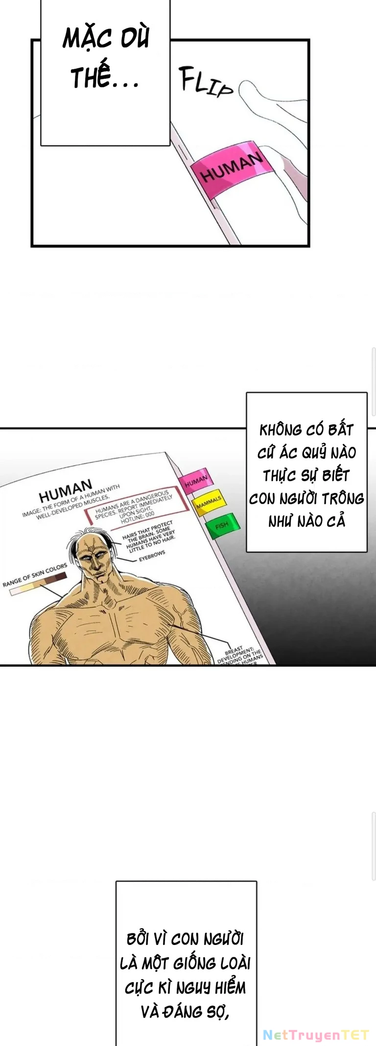 Mèo con của skelly Chapter 1 - 30