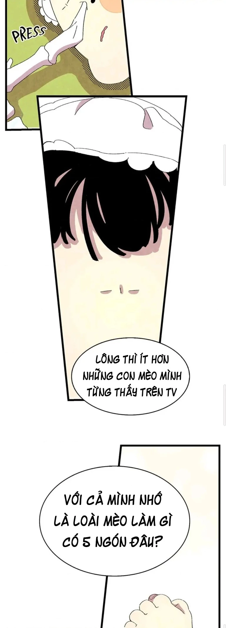 Mèo con của skelly Chapter 2 - 2