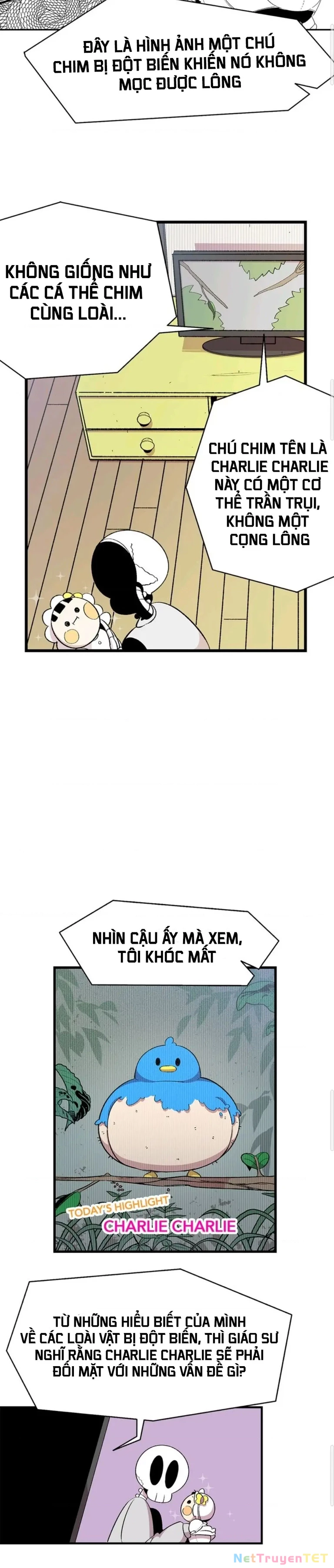 Mèo con của skelly Chapter 3 - 3