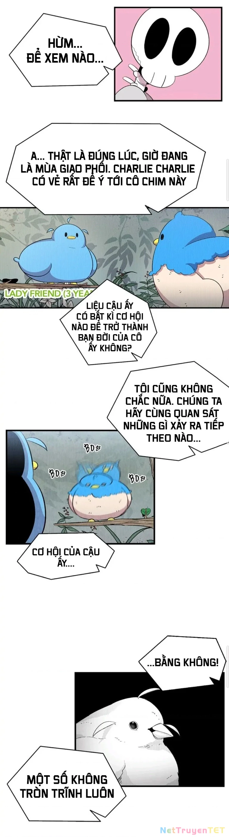Mèo con của skelly Chapter 3 - 4