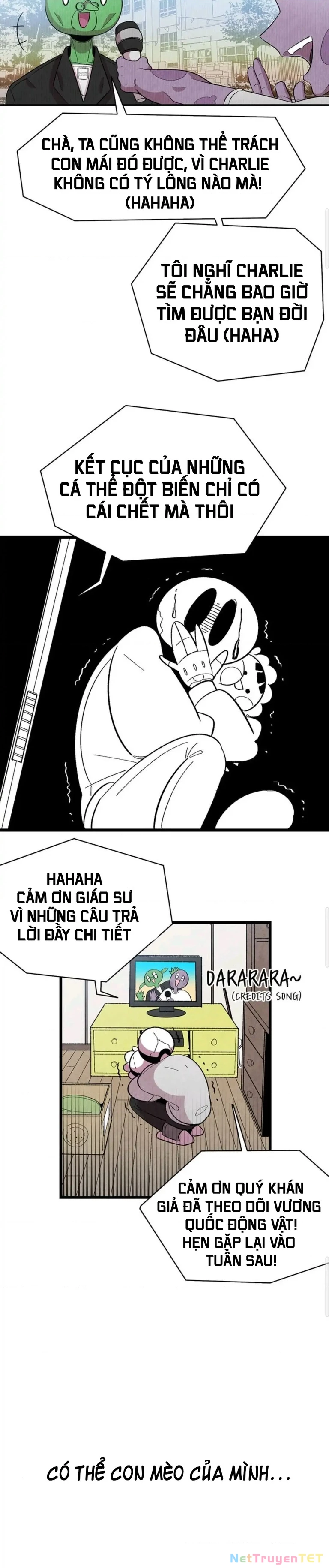 Mèo con của skelly Chapter 3 - 6