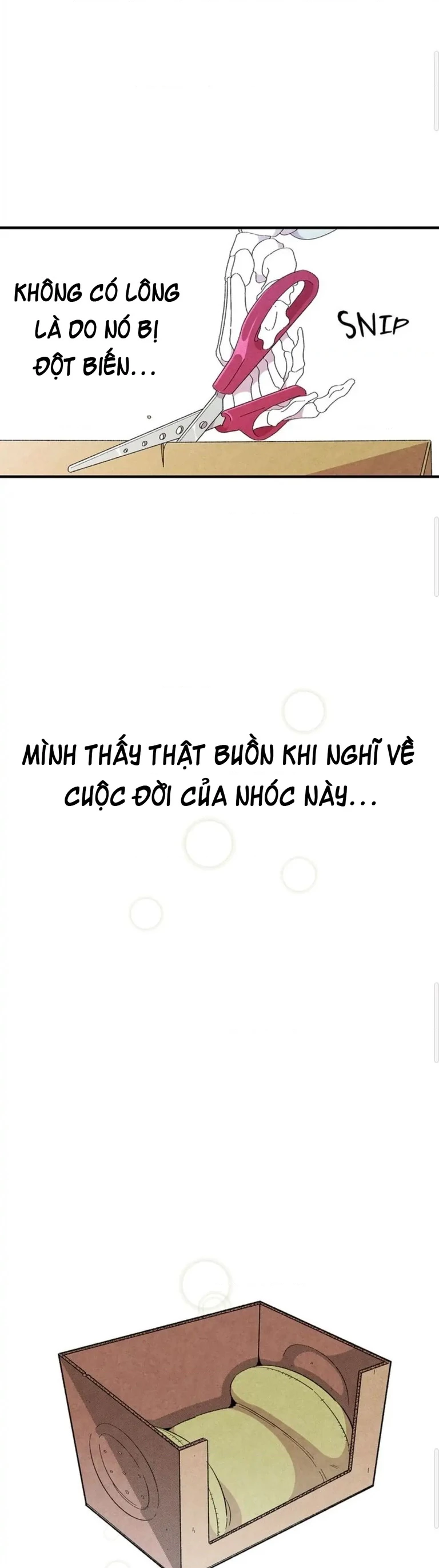 Mèo con của skelly Chapter 3 - 7