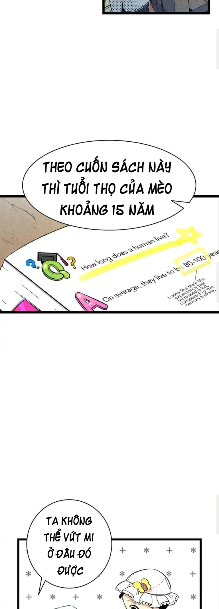 Mèo con của skelly Chapter 3 - 9