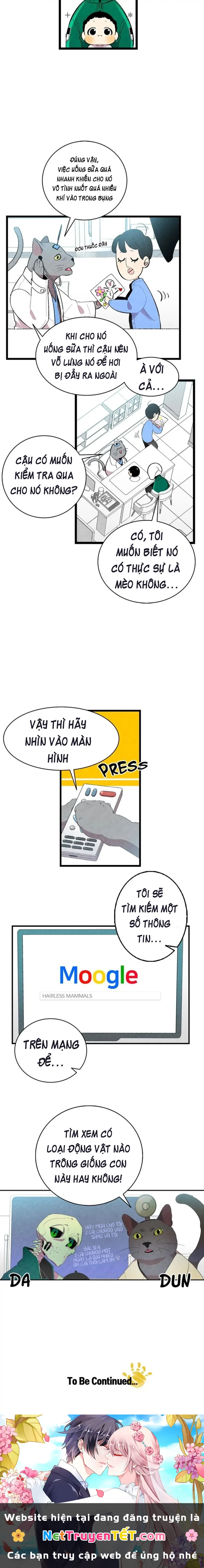 Mèo con của skelly Chapter 5 - 23