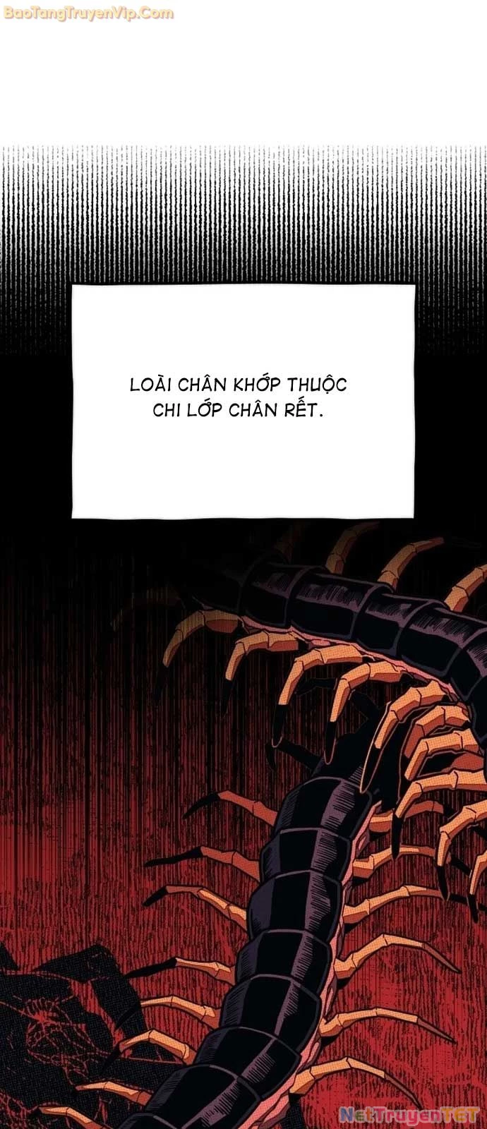 Lớp Học Cải Tạo Chapter 4 - Trang 2