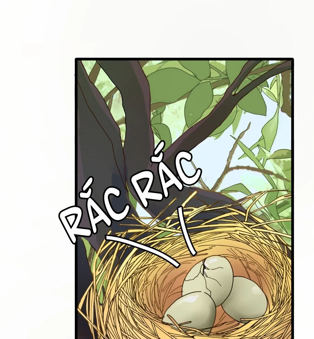 Khi Hoa Đen Tuyền Nở Rộ Chapter 3 - 46