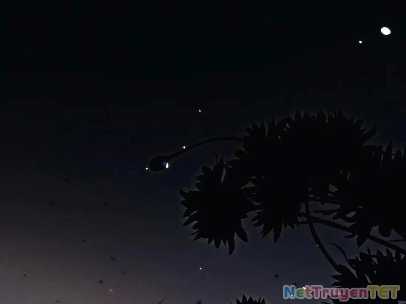 Toàn Chức Kiếm Tu Chapter 20 - 31