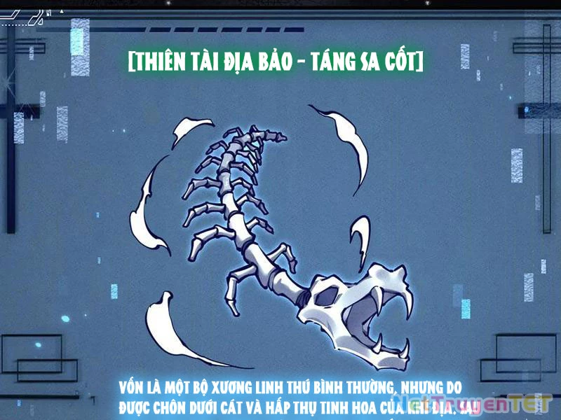 Toàn Chức Kiếm Tu Chapter 20 - 82