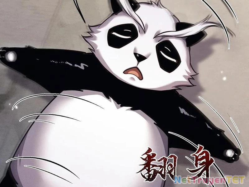 Toàn Chức Kiếm Tu Chapter 20 - 100
