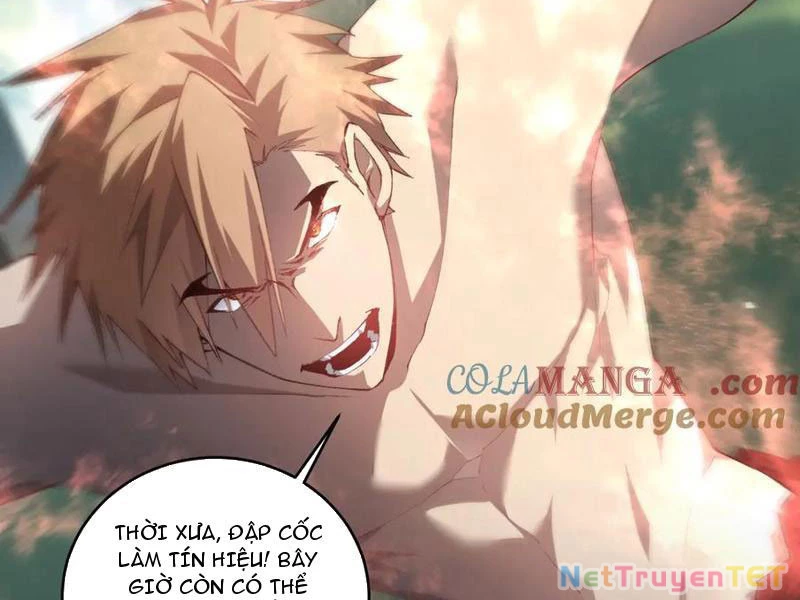 ta là chúa tể trùng độc Chapter 43 - Trang 2