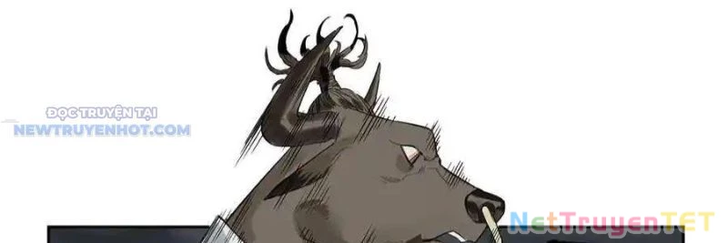 Truyền Võ Chapter 370 - 137