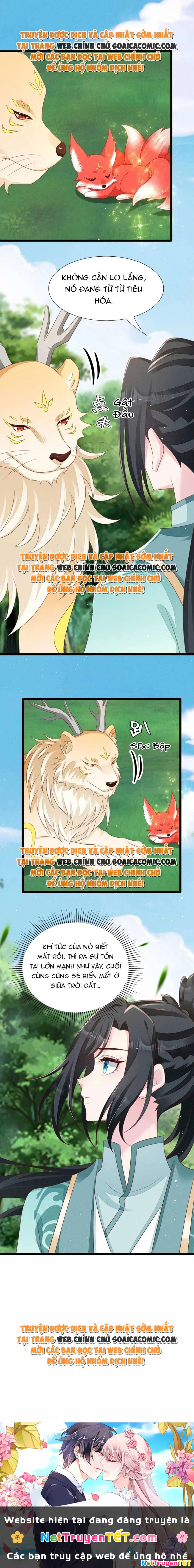 Thần Phi Ngự Thiên Hạ Chapter 31 - 11