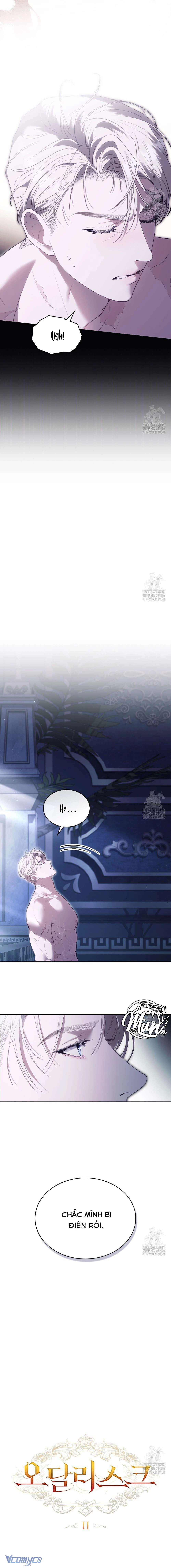 Odalisque Chapter 11 - 5