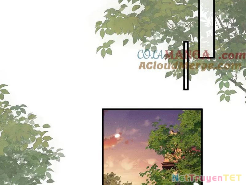 Toàn Chức Kiếm Tu Chapter 31 - 51