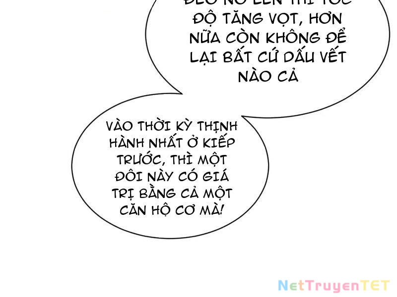 Toàn Chức Kiếm Tu Chapter 34 - 47