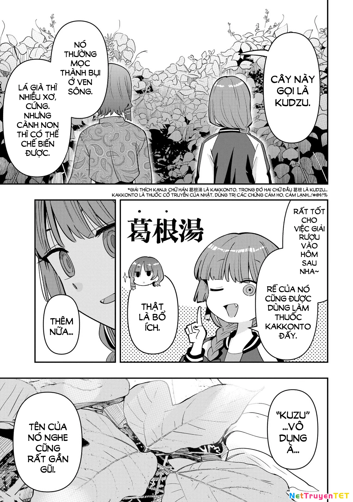Bocchi the Rock! Gaiden: Kikuri Hiroi's Heavy Drinking Diary Chapter 33 - 15