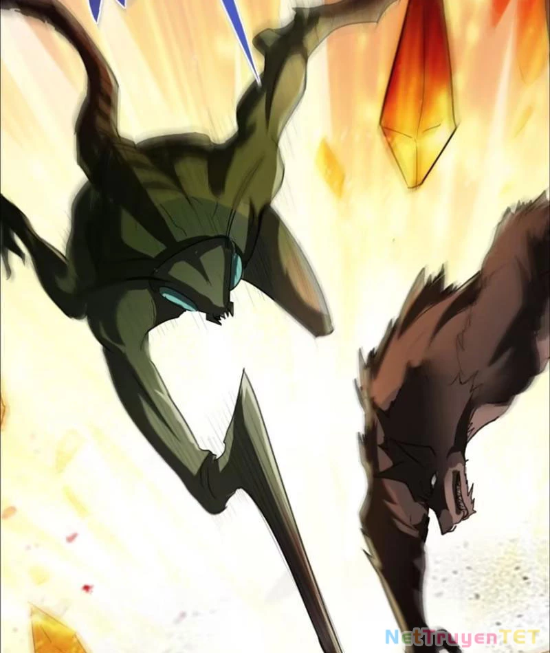 Ta Là Nhân Vật Phản Diện Cướp Khắp Chư Thiên Vạn Giới Chapter 13 - 53