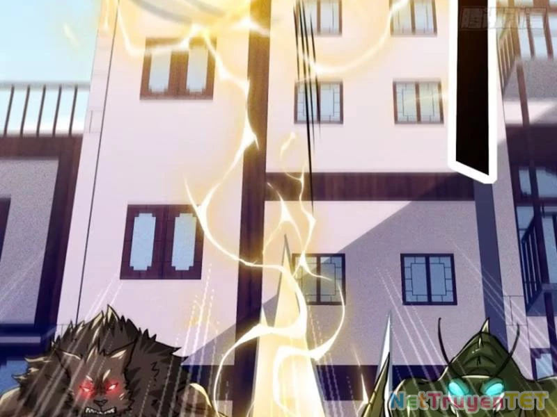 Ta Là Nhân Vật Phản Diện Cướp Khắp Chư Thiên Vạn Giới Chapter 14 - 6