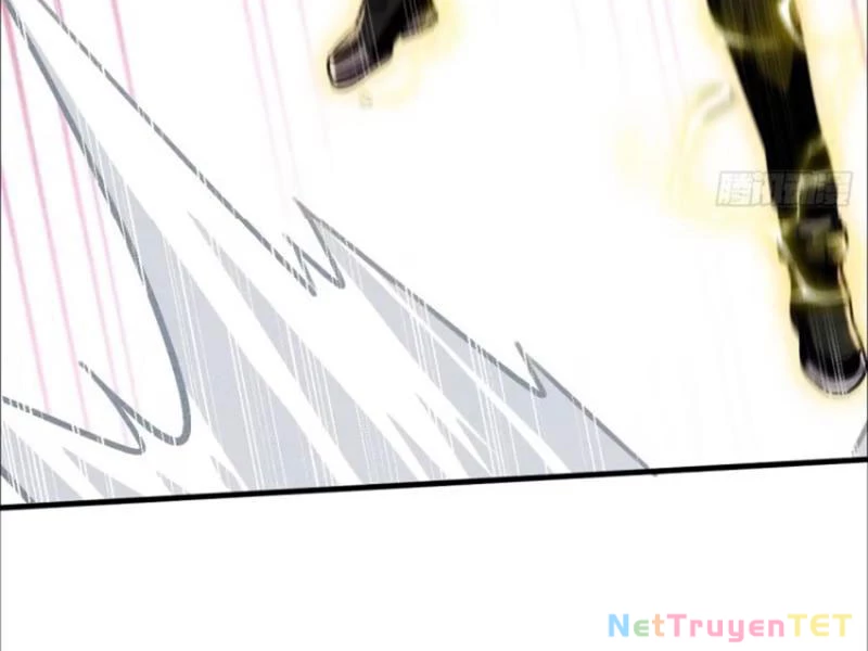 Ta Là Nhân Vật Phản Diện Cướp Khắp Chư Thiên Vạn Giới Chapter 14 - 47