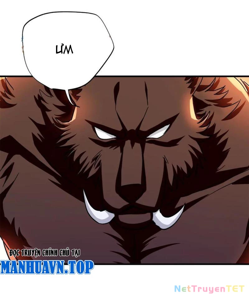Ta Là Nhân Vật Phản Diện Cướp Khắp Chư Thiên Vạn Giới Chapter 29 - 24