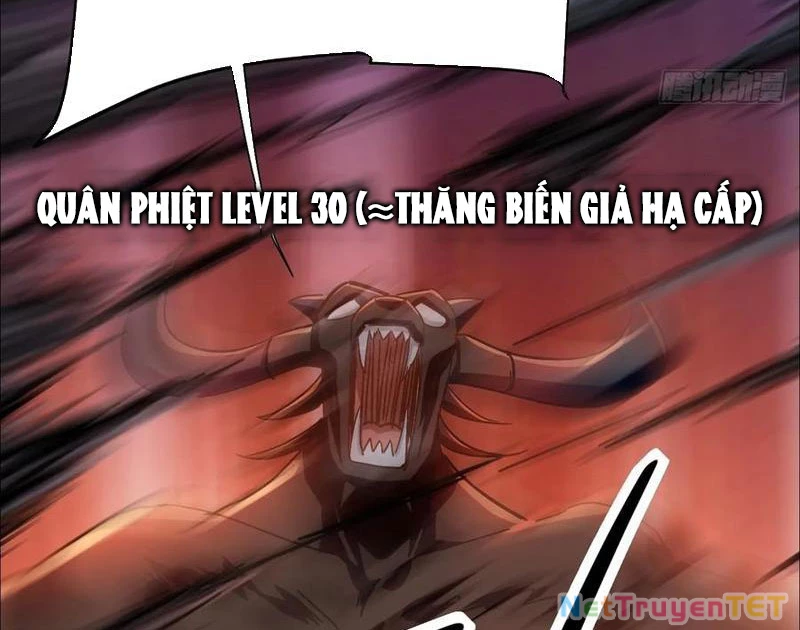 Ta Là Nhân Vật Phản Diện Cướp Khắp Chư Thiên Vạn Giới Chapter 31 - 5