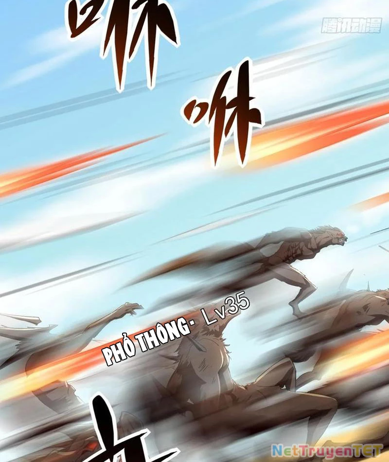 Ta Là Nhân Vật Phản Diện Cướp Khắp Chư Thiên Vạn Giới Chapter 33 - 41