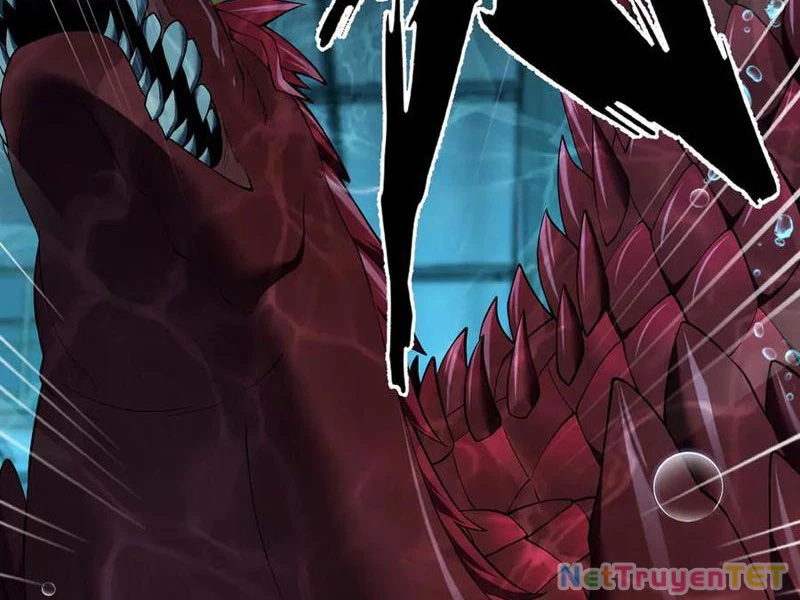 Linh Khí Khôi Phục: Từ Cá Chép Tiến Hóa Thành Thần Long Chapter 41 - 2