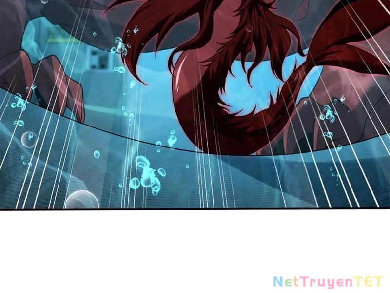 Linh Khí Khôi Phục: Từ Cá Chép Tiến Hóa Thành Thần Long Chapter 41 - 4