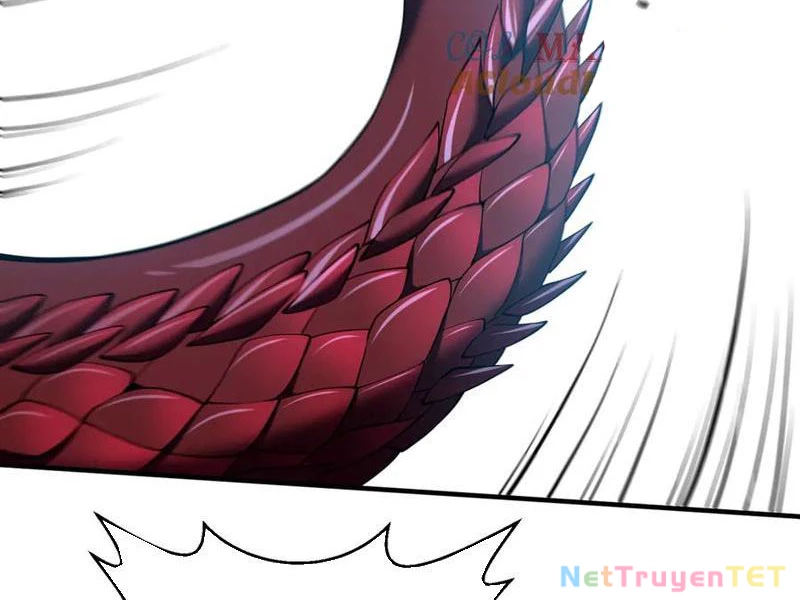 Linh Khí Khôi Phục: Từ Cá Chép Tiến Hóa Thành Thần Long Chapter 41 - 6