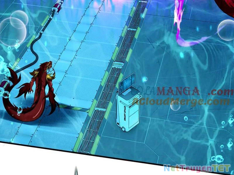 Linh Khí Khôi Phục: Từ Cá Chép Tiến Hóa Thành Thần Long Chapter 41 - 26