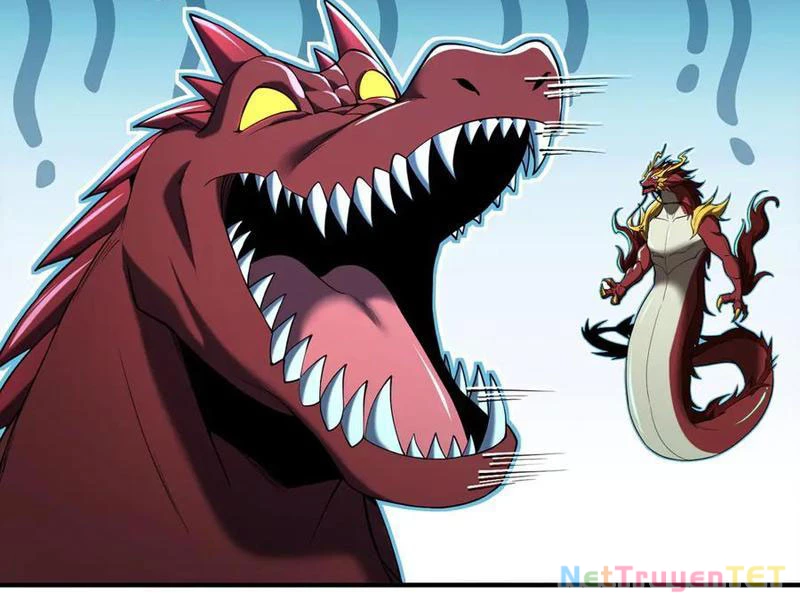 Linh Khí Khôi Phục: Từ Cá Chép Tiến Hóa Thành Thần Long Chapter 41 - 46