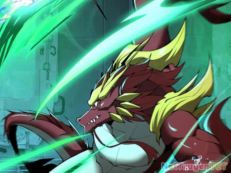 Linh Khí Khôi Phục: Từ Cá Chép Tiến Hóa Thành Thần Long Chapter 41 - 48