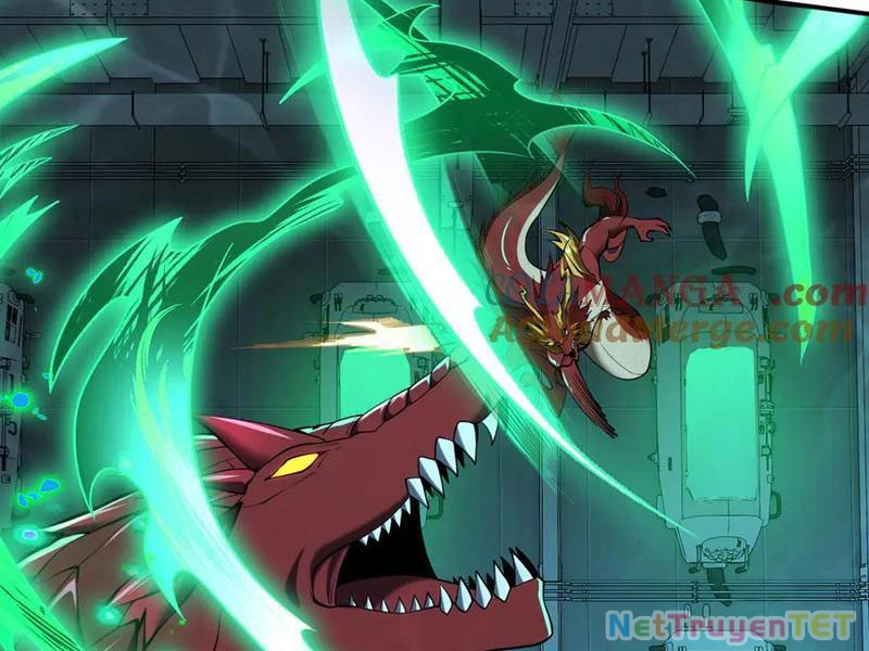 Linh Khí Khôi Phục: Từ Cá Chép Tiến Hóa Thành Thần Long Chapter 41 - 51