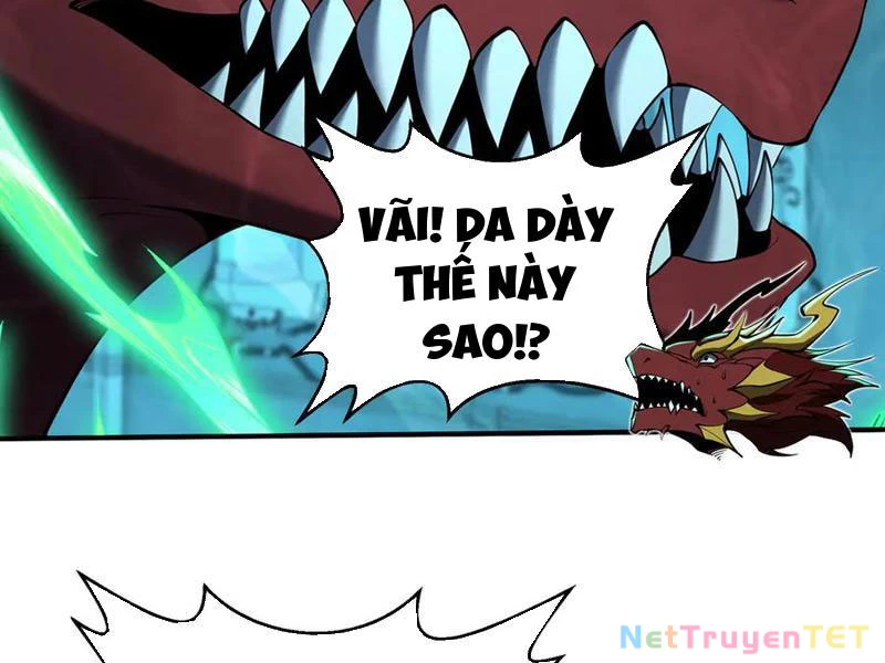 Linh Khí Khôi Phục: Từ Cá Chép Tiến Hóa Thành Thần Long Chapter 41 - 54