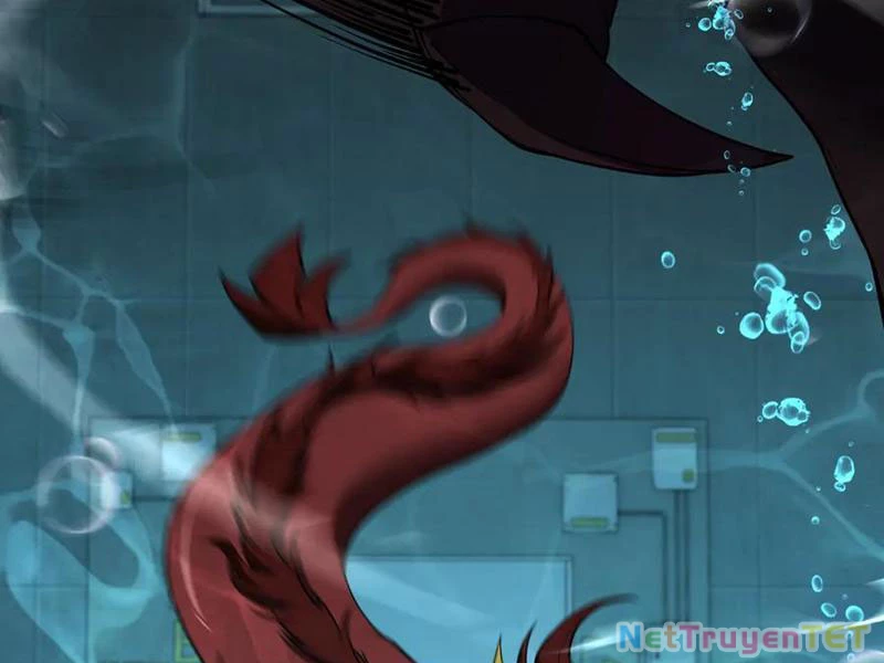 Linh Khí Khôi Phục: Từ Cá Chép Tiến Hóa Thành Thần Long Chapter 41 - 68