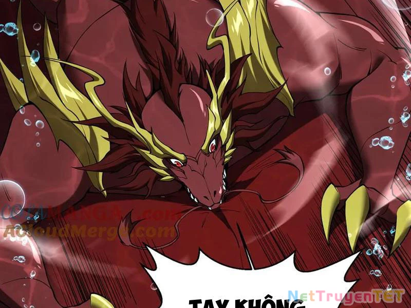 Linh Khí Khôi Phục: Từ Cá Chép Tiến Hóa Thành Thần Long Chapter 41 - 71