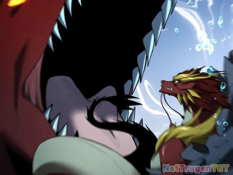 Linh Khí Khôi Phục: Từ Cá Chép Tiến Hóa Thành Thần Long Chapter 41 - 77