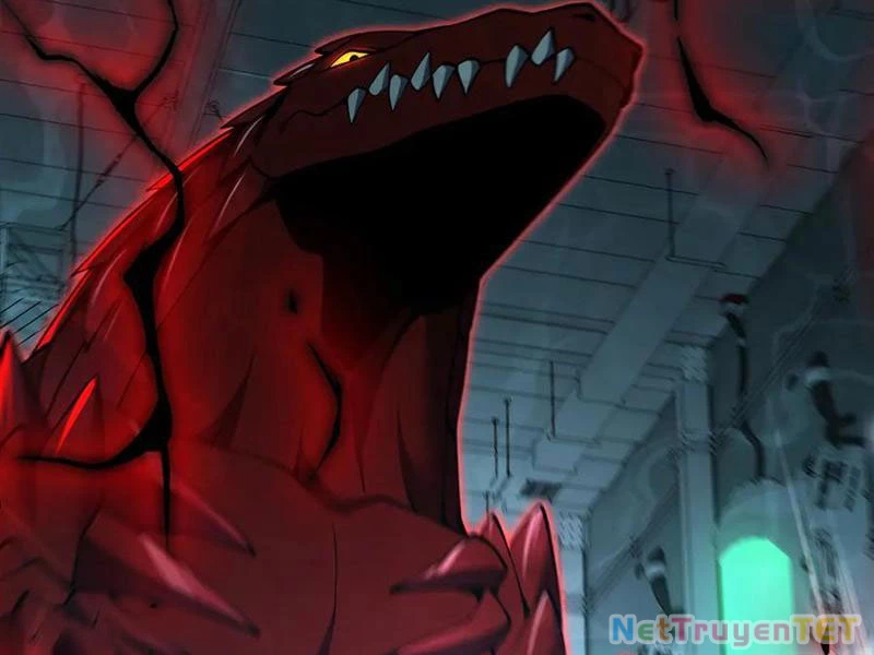 Linh Khí Khôi Phục: Từ Cá Chép Tiến Hóa Thành Thần Long Chapter 41 - 95