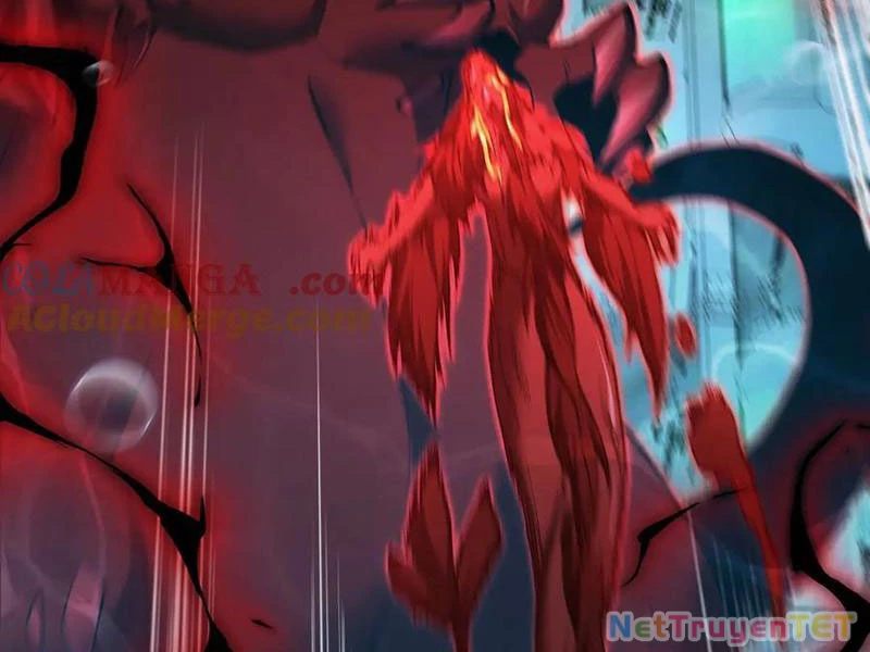 Linh Khí Khôi Phục: Từ Cá Chép Tiến Hóa Thành Thần Long Chapter 41 - 96