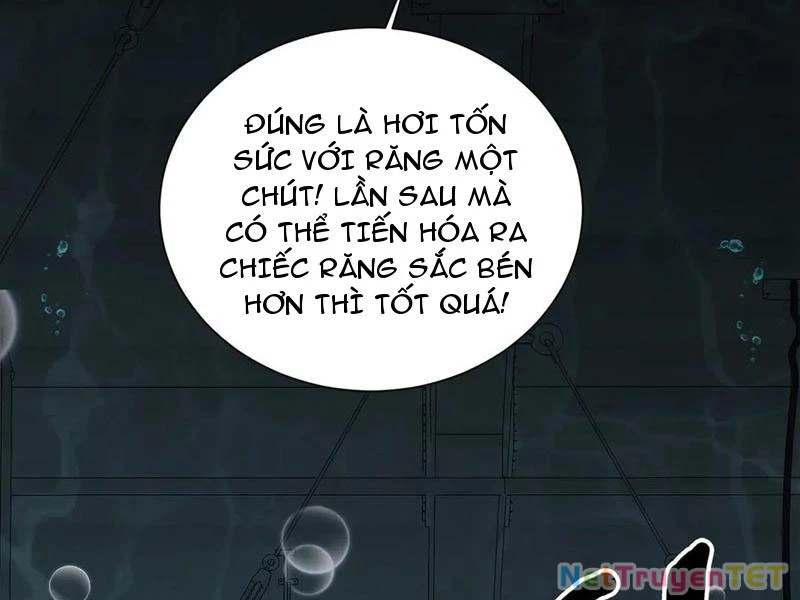 Linh Khí Khôi Phục: Từ Cá Chép Tiến Hóa Thành Thần Long Chapter 41 - 138