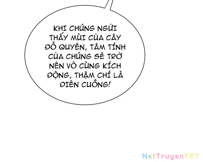 Trảm Linh Thiếu Nữ: Tất cả khế ước của ta đều là thượng cổ thần binh Chapter 20 - 126